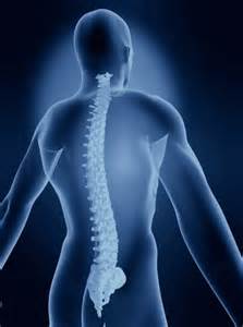 Technology aims to develop large-scale research network on chiropractic, natural health care